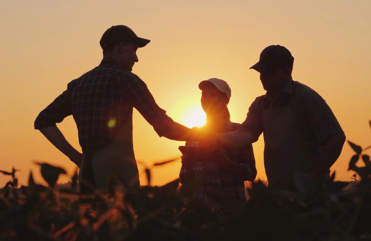 Big 3 Sustainability Consultants Left Small Manufacturers Behind