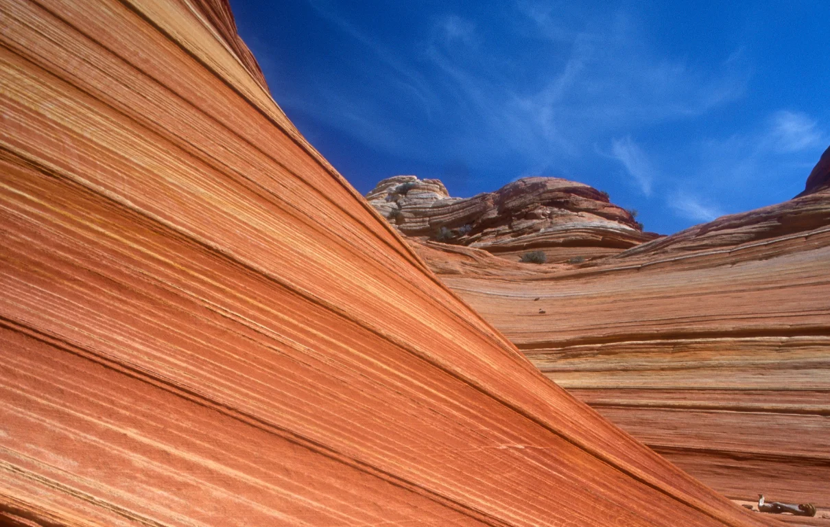 Carbon Report Unified Data Standard: Leveling The Playing Field